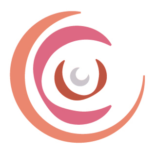 Schéma coaching Individuel